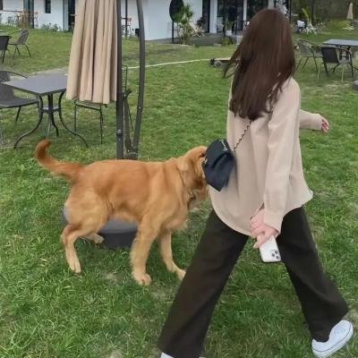 漂泊皇妃